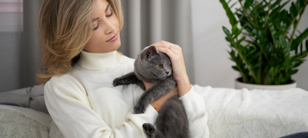 Top Cat Grooming Services and Cat Groomers in Valencia