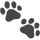 Footprint